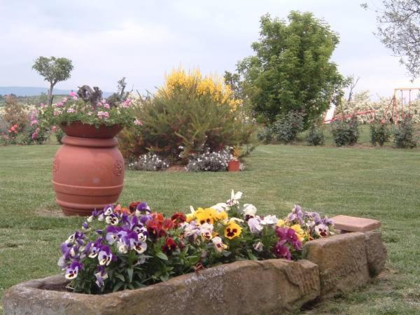 Agriturismo I Romiti Castiglione del Lago Dış mekan fotoğraf