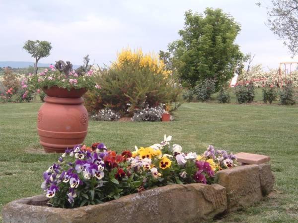 Agriturismo I Romiti Villa Castiglione del Lago Dış mekan fotoğraf