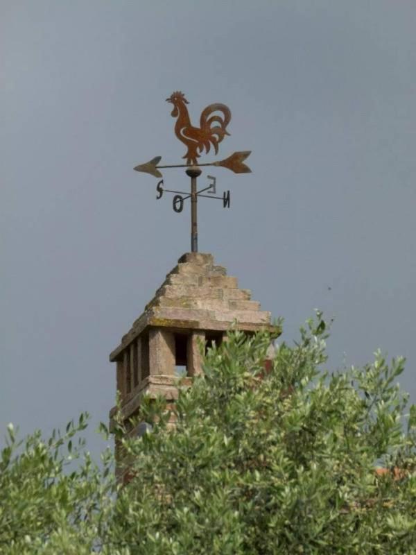 Agriturismo I Romiti Castiglione del Lago Dış mekan fotoğraf