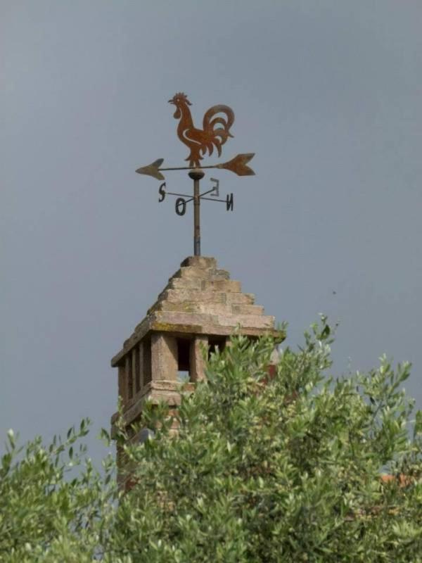 Agriturismo I Romiti Villa Castiglione del Lago Dış mekan fotoğraf