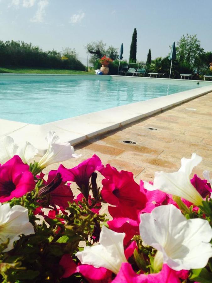 Agriturismo I Romiti Castiglione del Lago Dış mekan fotoğraf